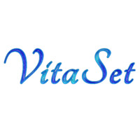 vitaset logo - Similar company to Force One System Technologies