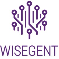 Wisegent logo - Similar company to Intellibed