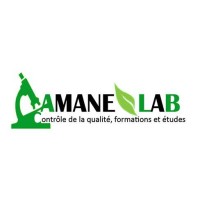 AMANE LAB logo - Similar company to Perfect Innovation