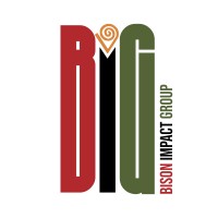 Bison Impact Group logo - Similar company to The Dap Project, Llc