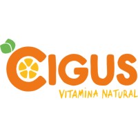 Cigus SpA logo - Similar company to Cuatro Vientos Spa
