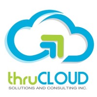 ThruCloud Solutions and Consulting / Netsuite Solutions Provider logo - Similar company to Junitech Integrations