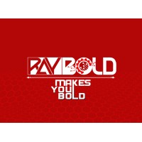 Raybold Software and Graphic Company logo - Similar company to The Code Giant Services