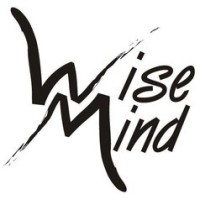 Wise Mind logo - Similar company to Midtfyns Bryghus