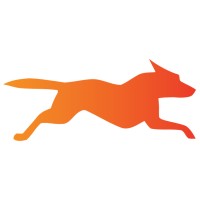 Mad Dog Promotions logo - Similar company to Express Promo