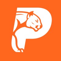 Puma Solutions Group logo - Similar company to Deutsche Bor
