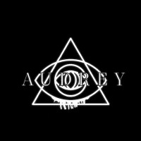 Asylum logo - Similar company to Asylum