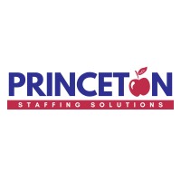 Princeton Staffing Solutions logo - Similar company to Cdo Gurukul