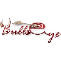 Bullseye infotech logo - Similar company to Optigrise Technology Solutions
