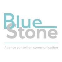 BLUE STONE logo - Similar company to Secureti