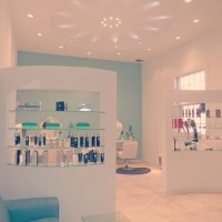 Julia Emerald Hair Salon logo - Similar company to Cadre Salon