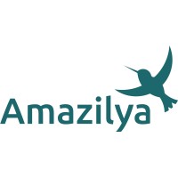 AMAZILYA logo - Similar company to Energy Changes