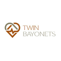 Twin Bayonets logo - Similar company to Story & Scale