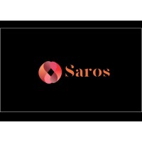 Saros International learning Limited logo - Similar company to Rare Mastery Virtual School