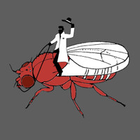 McCabe Lab logo - Similar company to Epfl Brain Mind Institute