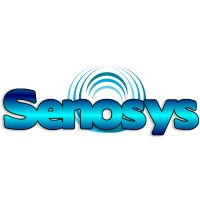 senosys logo - Similar company to Amaclio