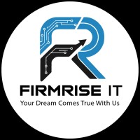 FirmRise IT logo - Similar company to Technotide Consultancy