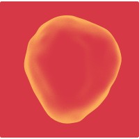 Prolaio logo - Similar company to Physiq