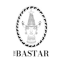 TheBastar logo - Similar company to Dps Bhilai Mun