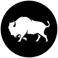 Real Solutions logo - Similar company to Iconic Brands, Sl