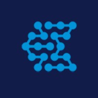 Bortex logo - Similar company to Hero Dynamics