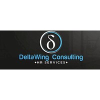 DeltaWing Consulting logo - Similar company to Cloudmap Consulting