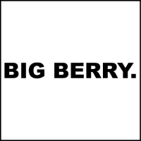 Big Berry logo - Similar company to Techronus