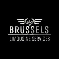 BRUSSELS LIMOUSINE SERVICES logo - Similar company to Icars Powered By Limos.Com