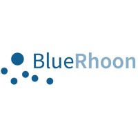 BlueRhoon logo - Similar company to Ned Engineering