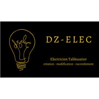 DZ-ELEC logo - Similar company to Cap'Elec