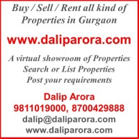 www-daliparora-com