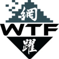 WTF Studio logo - Similar company to Mario Elevate