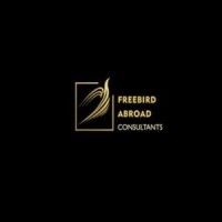Freebird Abroad Consultants logo - Similar company to Spirale Hr Solutions