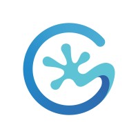 Geckosoft logo - Similar company to Holocron ®