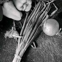 Innovation Consulting Group, LLC logo - Similar company to Silly Goose