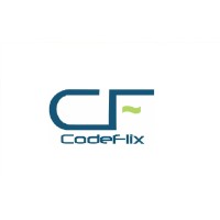 Codeflix Technologies Pvt. Ltd. logo - Similar company to Placecode Solution Pvt Ltd