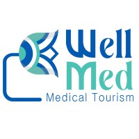 WellMed Medical Tourism logo - Similar company to Doctourify | Medical Tourism | Online Consultation | Treatment Quotation | Medication | Meditation |
