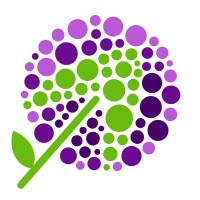 Allium logo - Similar company to Allium