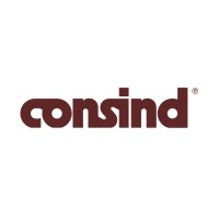 CONSIND Srl logo - Similar company to Acs|Consulting