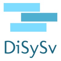 DiSySv logo - Similar company to Aanpas