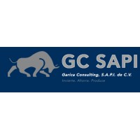 Garica Consulting S.A.P.I. de C.V. logo - Similar company to E22