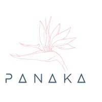 Panaka.ch logo - Similar company to Boost Digital