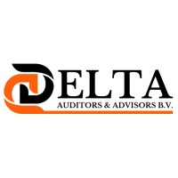 Delta Auditors & Advisors BV logo - Similar company to Camenai