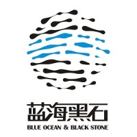 BOBS-TECH(蓝海黑石) logo - Similar company to Twoengineers Consulting