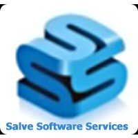 SalveSoft logo - Similar company to The Space Element