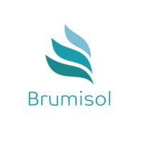 Brumisol logo - Similar company to B.R.O. Brumisation
