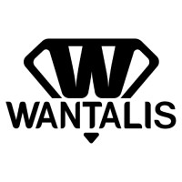 Wantalis Sport logo - Similar company to Astya Performance