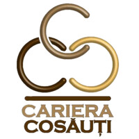 Cariera de Granit si Pietris din Soroca S.A. logo - Similar company to Granit De Guerlesquin