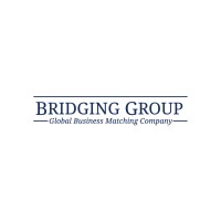 Bridging Group logo - Similar company to Jellyplan
