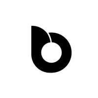 Ballast Services logo - Similar company to Networkinguys